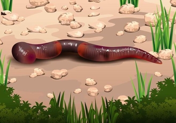 Earthworm In Soil Vector - Free vector #425369