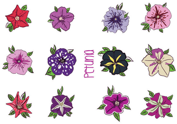 Various Petunia Flower Vectors - vector gratuit #427199 