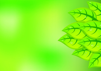 Background Of Natural Green Leaves - vector gratuit #427619 