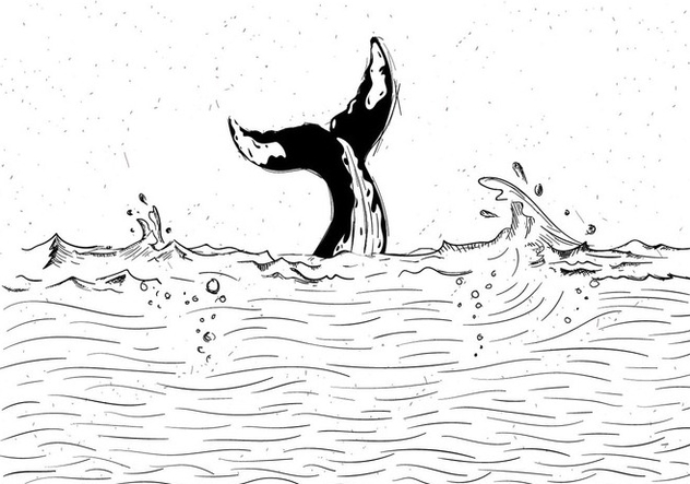 Free Whale Vector Illustration - vector gratuit #428199 