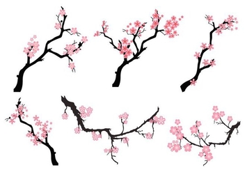 Free Peach Blossom Tree Vector - бесплатный vector #428509