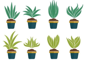 Free Yucca Plant Icons Vector - vector gratuit #428519 