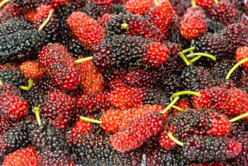 Black and red mulberry background - бесплатный image #428789