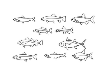 Free Fish Line Illustration Vector - Kostenloses vector #429399