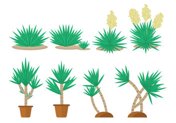 Free Yucca Plant Collections - бесплатный vector #429579