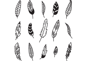 Set Of Feathers - Free vector #432189