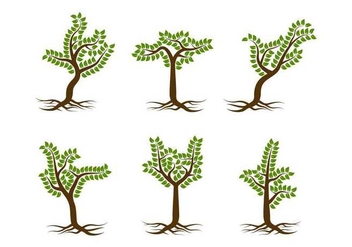 Free Unique Tree with Roots Vectors - vector gratuit #433069 