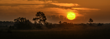 An Everglades Sunrise - image #433119 gratis