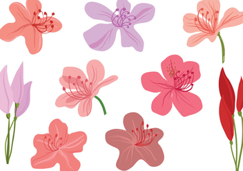 Free Rhododendron Flowers Vectors - бесплатный vector #433189