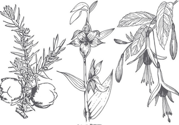 Vinatge Flower Collection - vector gratuit #433369 