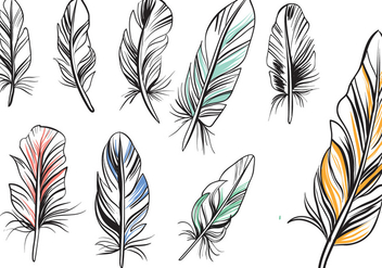 Free Vintage Feathers Vectors - Free vector #433639
