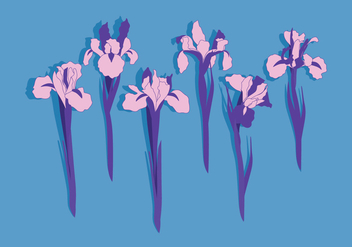 Iris Flowers Vector - бесплатный vector #435029