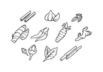 Free Culinary Spices Hand Drawn Icon Vector - vector #435259 gratis