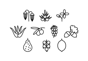 Free Medical Herbs Line Icon Vector - Free vector #435489