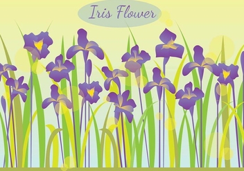 Iris Flower In The Morning Illustration - Free vector #435549