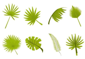 Free Tropical Leaves Palm Vector - vector gratuit #436349 