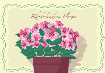 Rhododendron Flowers In Pot Vector Illustration - Kostenloses vector #437969