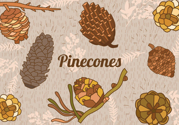 Set Of Pine Cones - vector gratuit #438089 