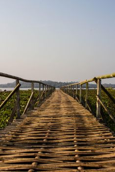 bamboo bridge - Free image #439039