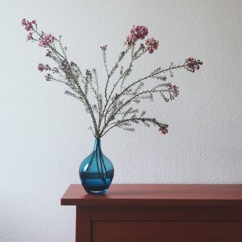 Flowers in vase - Free image #439109