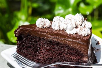 Chocolate cake - Kostenloses image #439189