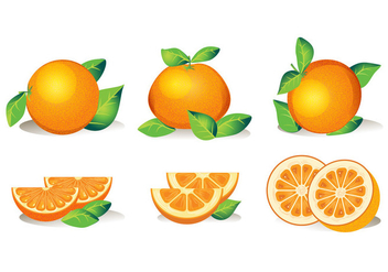 Set of Isolated Clementine Fruits on White Background - vector gratuit #439739 