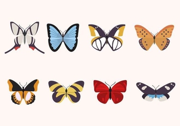 Flat Butterfly Vectors - Free vector #439869