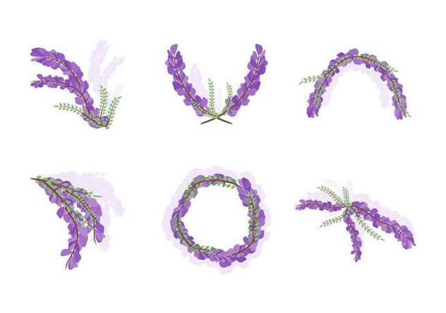 Free Beautiful Wisteria Flower Vectors - Free vector #440009