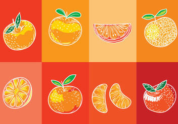Set of Isolated Clementine Fruits on Orange Background with Art Line Style - vector gratuit #440109 