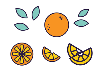 Fresh Citrus Fruit Vector - бесплатный vector #440219