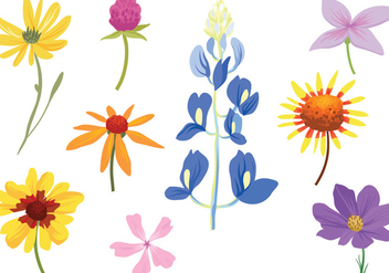 Free Colorful Wildflower Vectors - vector gratuit #441159 