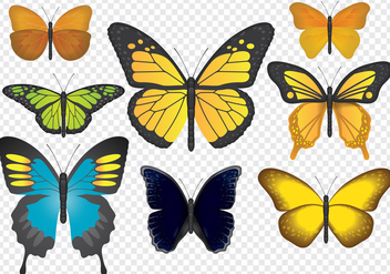 Colorful Butterflies - vector gratuit #441399 