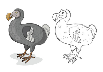 Grey Dodo Bird Illustration - vector #441679 gratis