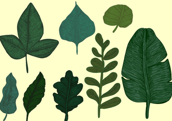 Vintage Style Botanical Leaves Vector Set - vector gratuit #442219 
