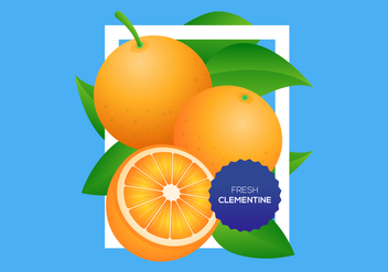 Free Clementine Vector Background - Free vector #444229
