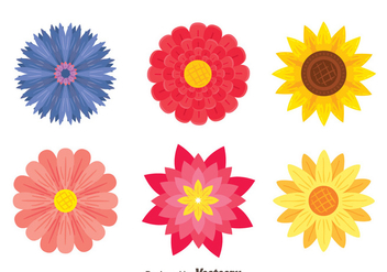 Beautiful Flowers Collection Vector - бесплатный vector #444299