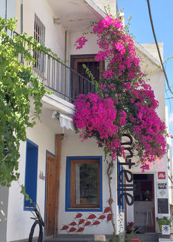 Turkey (Bodrum) Typical building with begonville - Kostenloses image #446699
