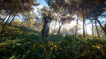TheHunter: Call of the Wild / Oh Deer - Kostenloses image #446849