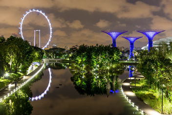 Singapur Flyer (big wheel) und Supertree Grove at Night - image #447299 gratis