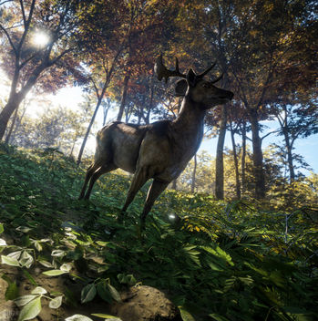 TheHunter: Call of the Wild / Did I Hear Something? - image gratuit #447499 
