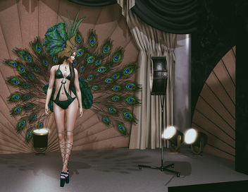 Peacock Outfit by ZD Design - image #447869 gratis