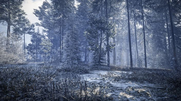 TheHunter: Call of the Wild / Snowy Trees - image gratuit #450109 