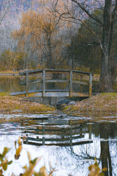 By the pond ... - image gratuit #450199 