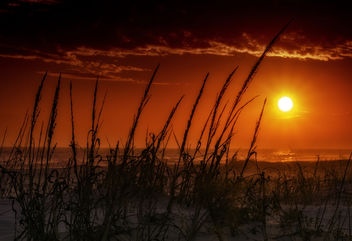 Sunset Over the Dunes - Free image #451689
