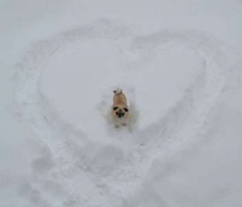 My Snowy Valentine! - image #451849 gratis