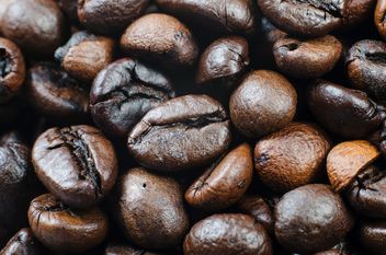 Coffee beans background - Free image #451879