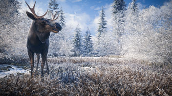 TheHunter: Call of the Wild / Hello Mr. Moose - бесплатный image #452109