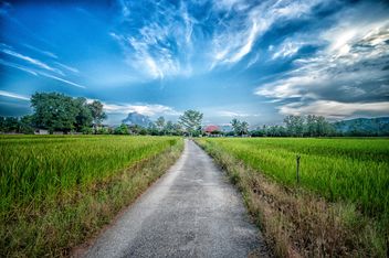 Rice fields under blue sky, Chiang mai, Thailand - image #452429 gratis