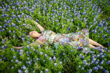 Courtney with bluebonnets - image #453169 gratis
