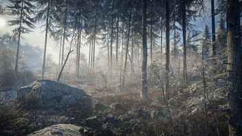 TheHunter: Call of the Wild / Misty Forest - image gratuit #453819 